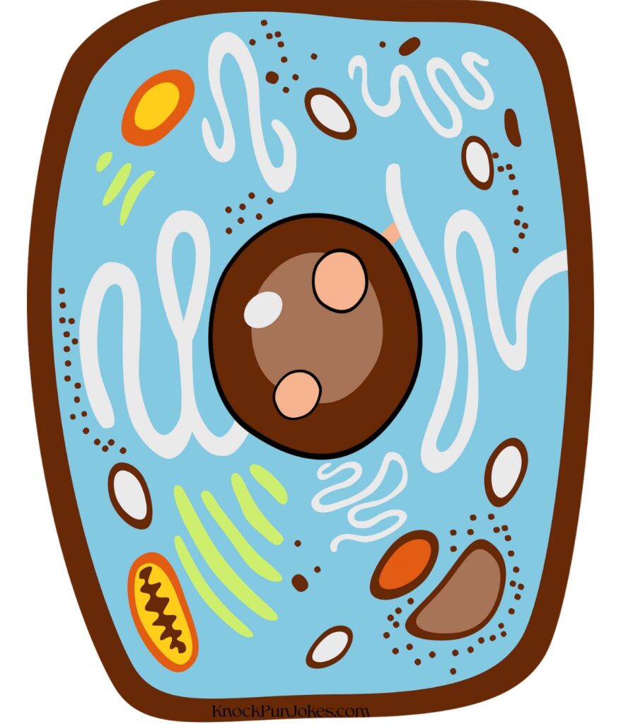 cell-jokes-and-puns-for-adults