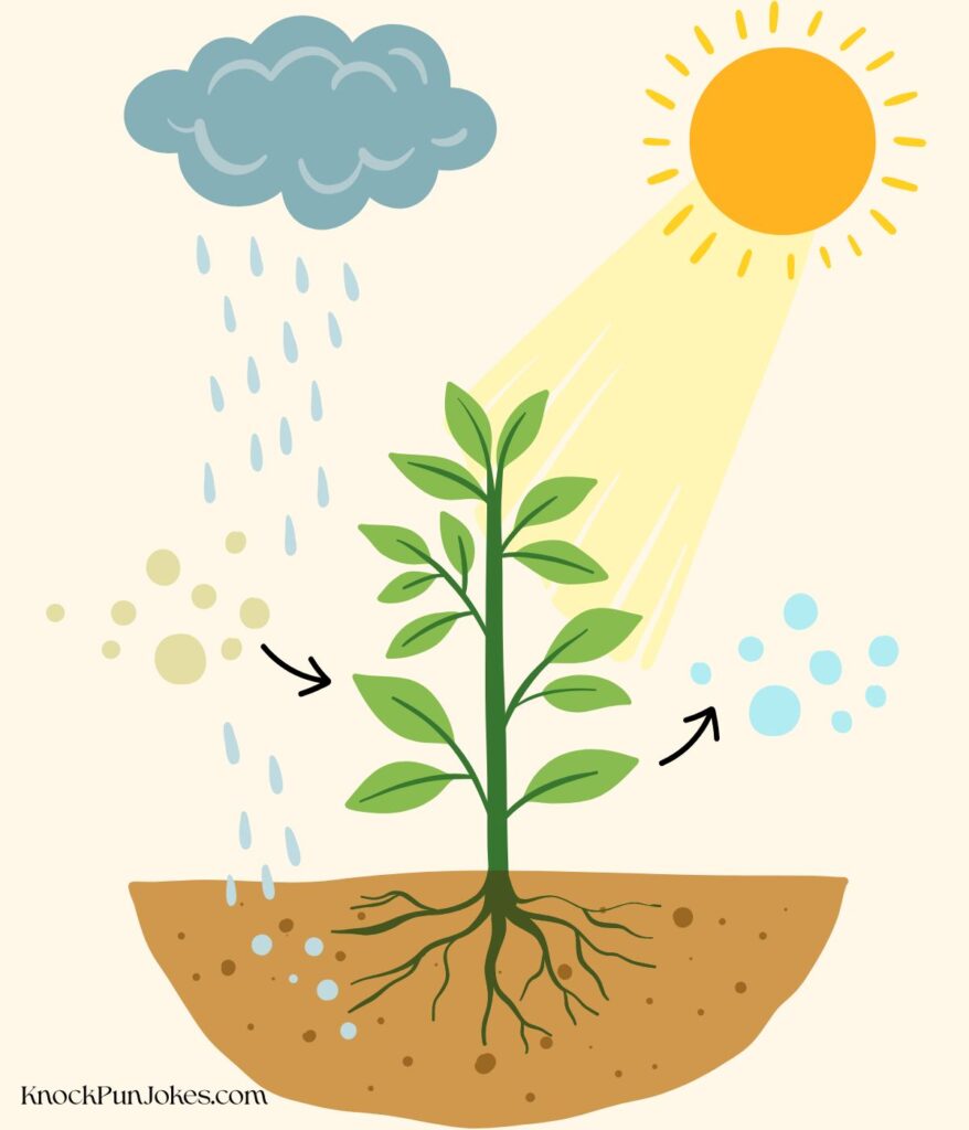 funny-photosynthesis-puns