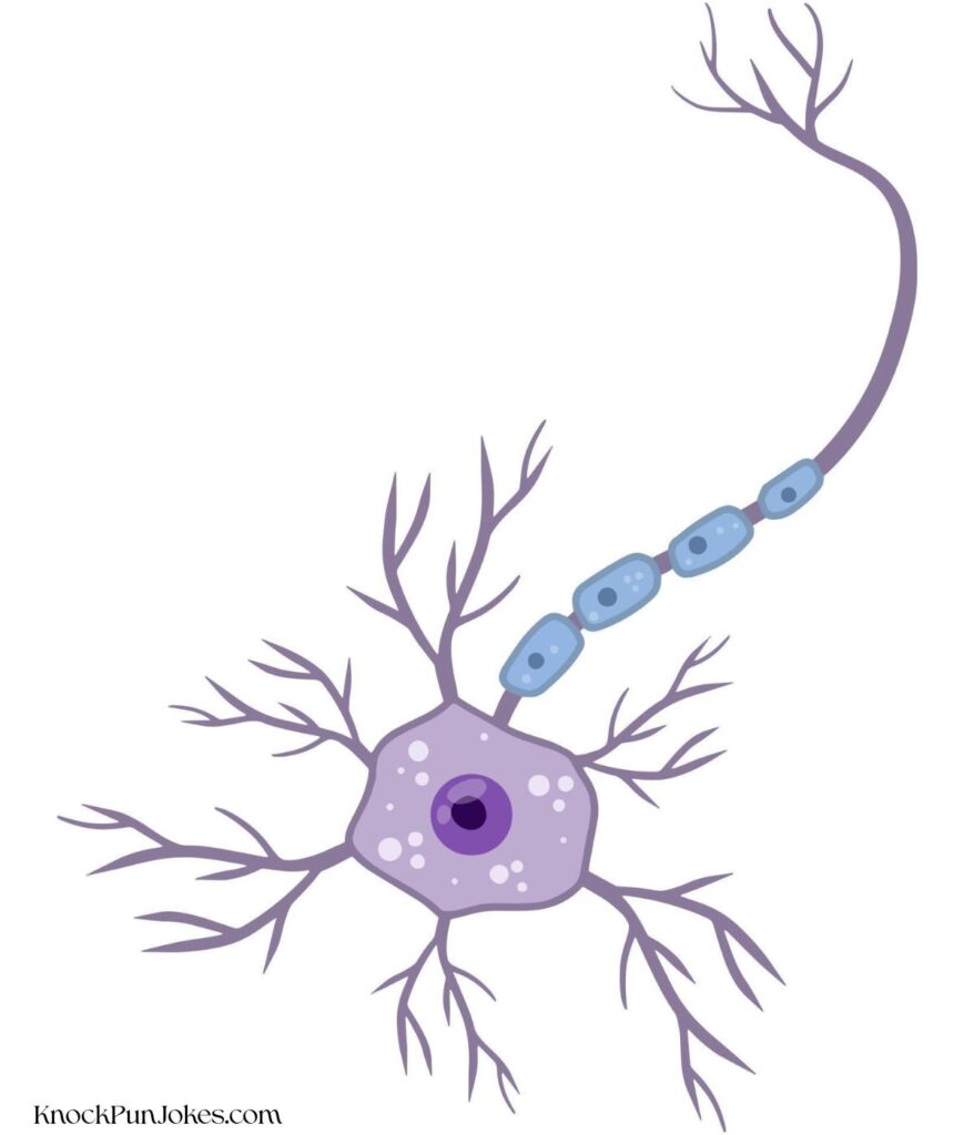 hilarious-short-cell