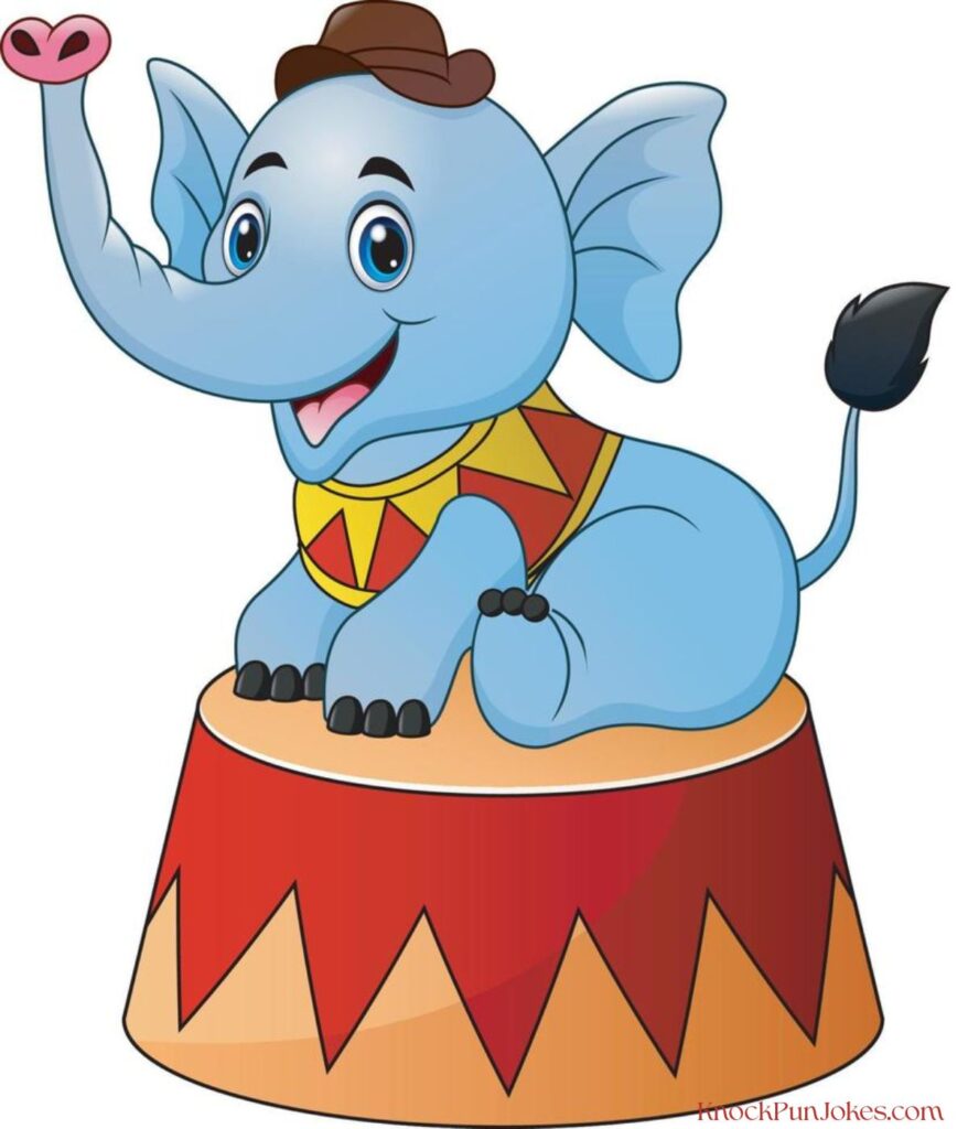 short-circus-puns-for-social-media