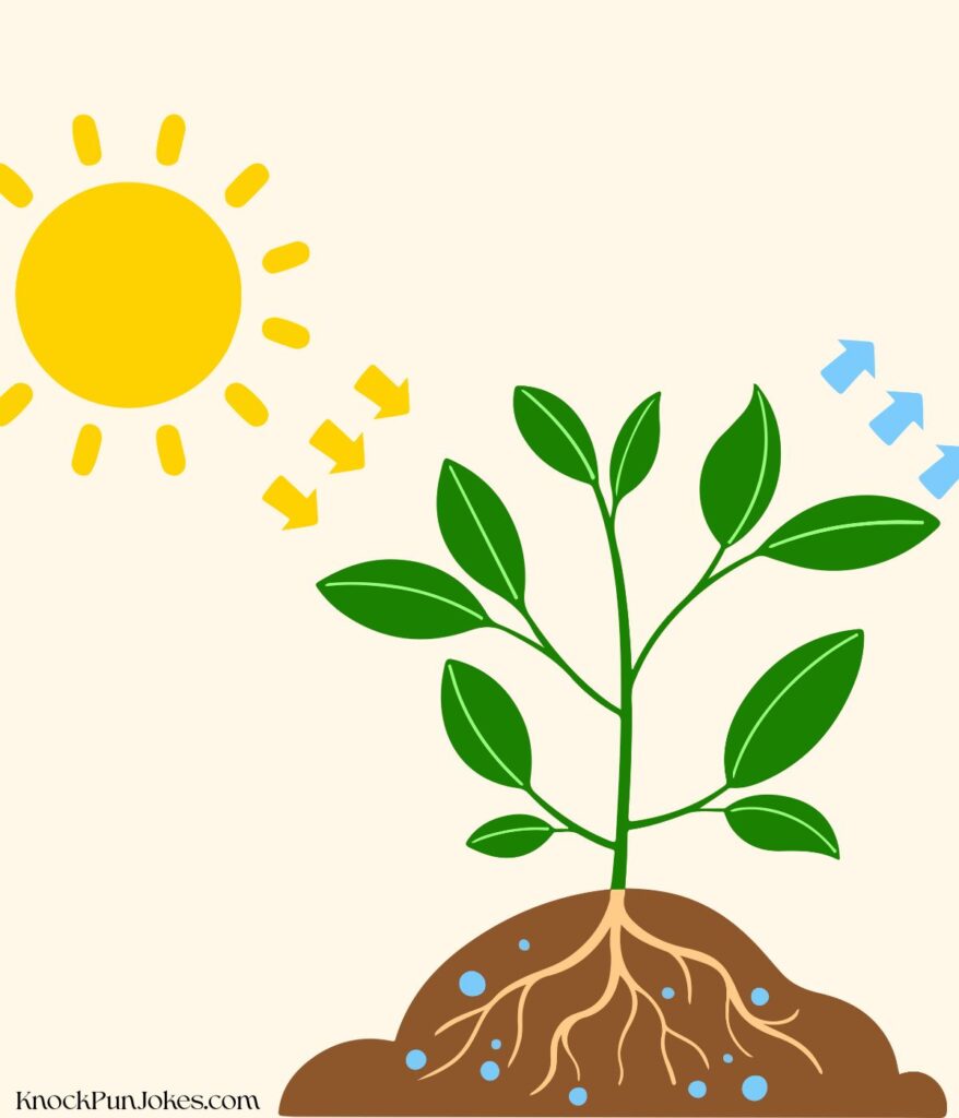 sun-powered-photosynthesis-jokes