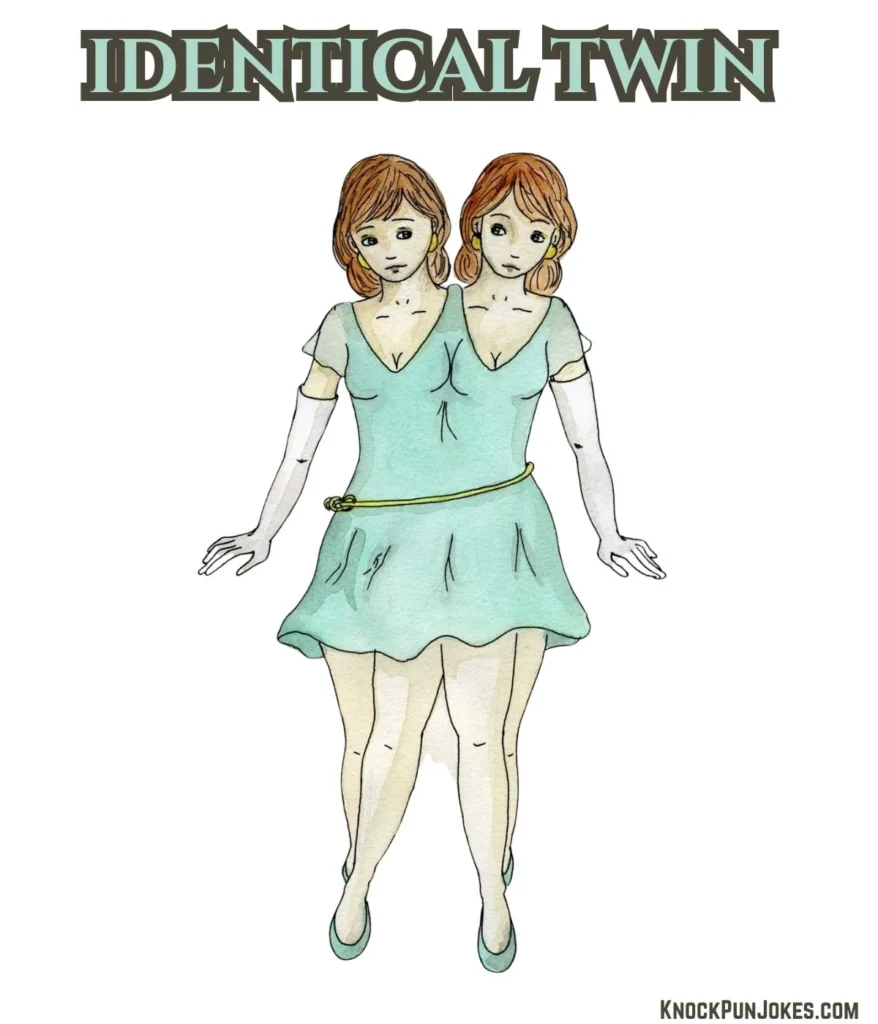 identical-twin-humor-puns