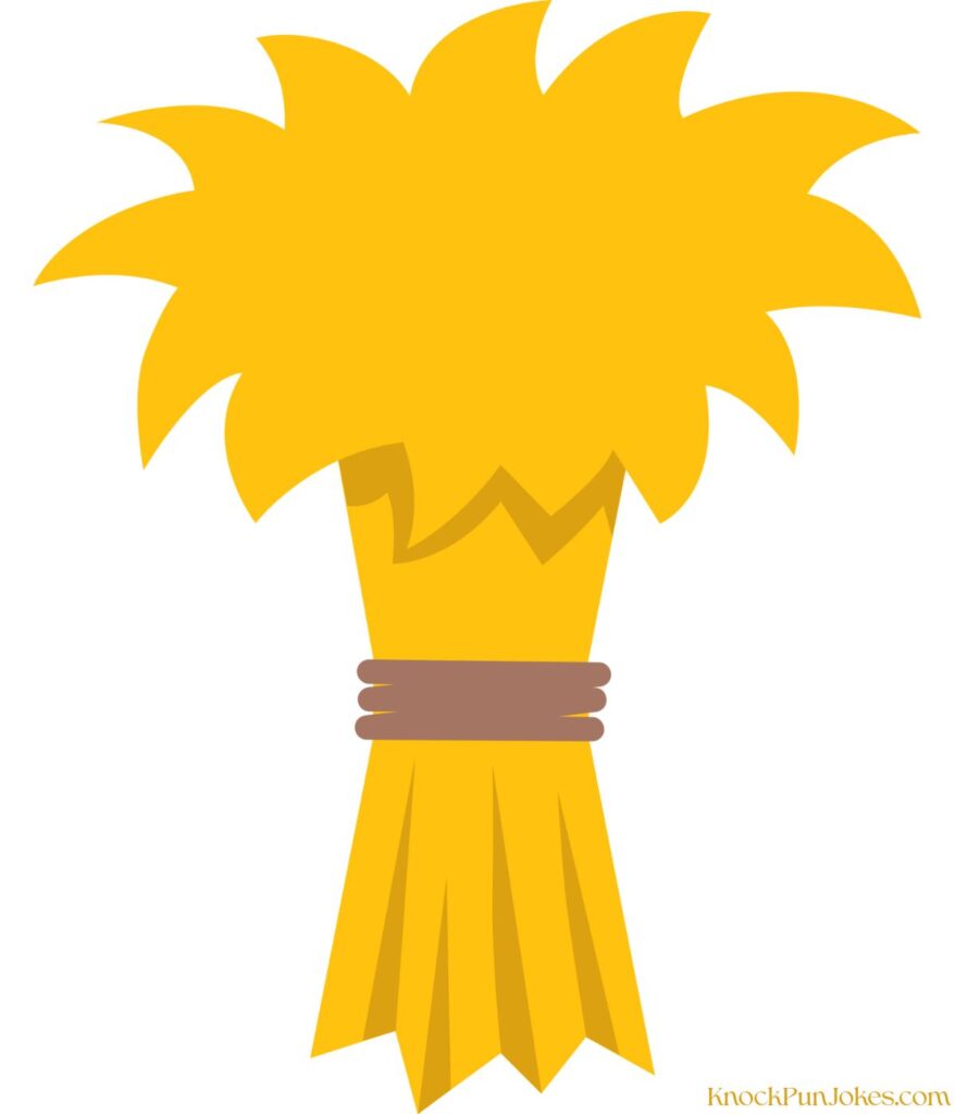 short-hay-jokes-for-kids