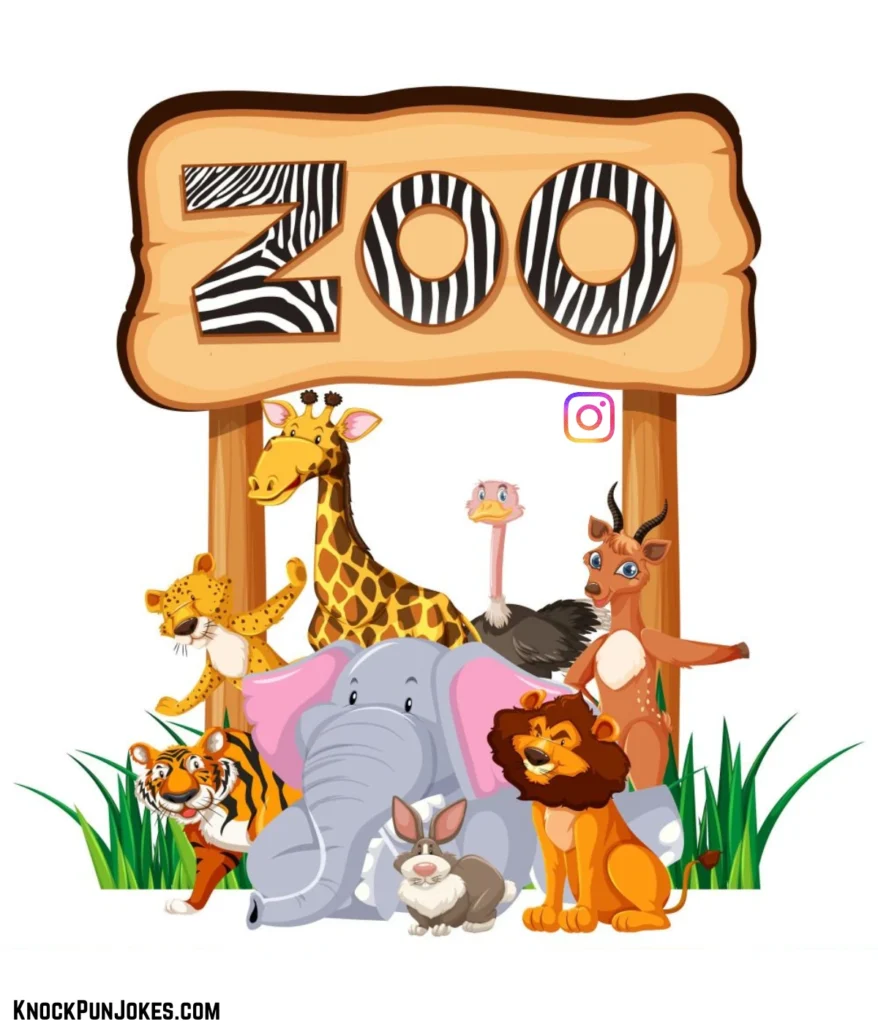 zoo-puns-for-instagram