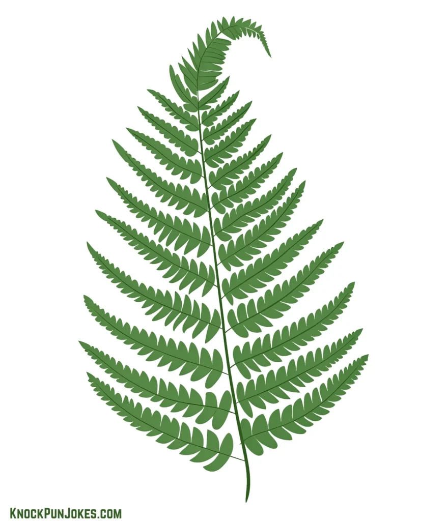 clever-fern-puns