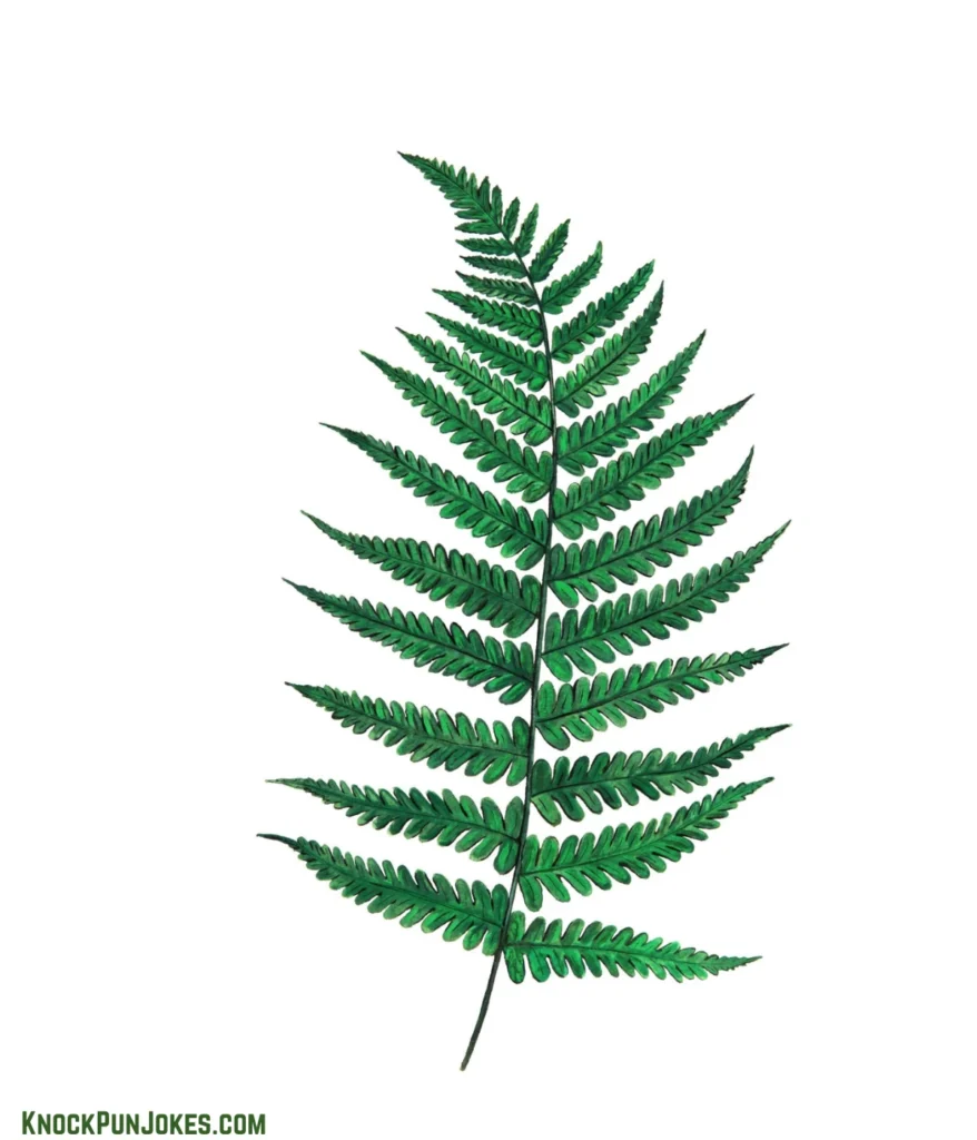 fern-puns-for-plant-parents