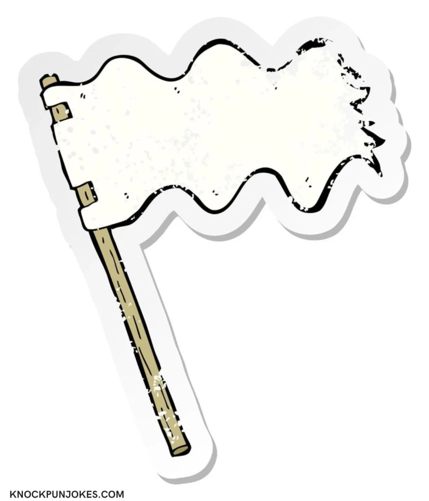 funny-flag-puns-by-country